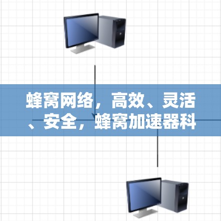 蜂窝网络，高效、灵活、安全，蜂窝加速器科学上网