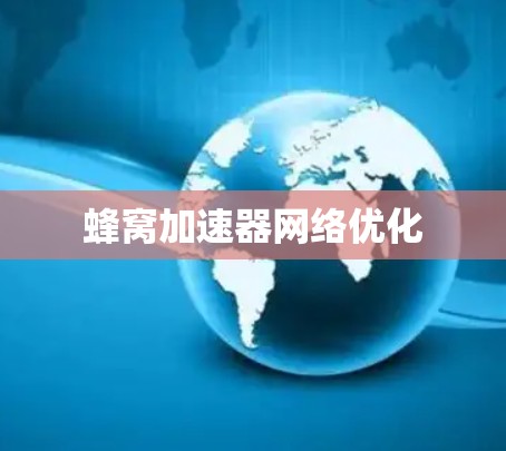蜂窝加速器网络优化