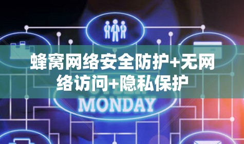 蜂窝网络安全防护+无网络访问+隐私保护
