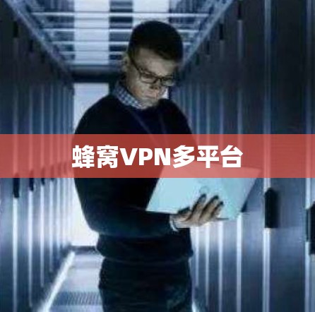 蜂窝VPN多平台 蜂窝VPN多平台