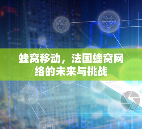 蜂窝移动,法国蜂窝网络的未来与挑战 蜂窝移动,法国蜂窝网络的未来与挑战