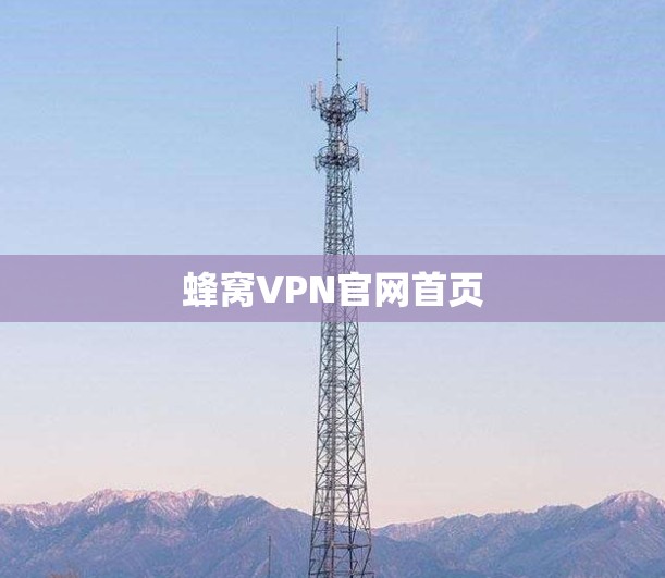 蜂窝VPN官网首页