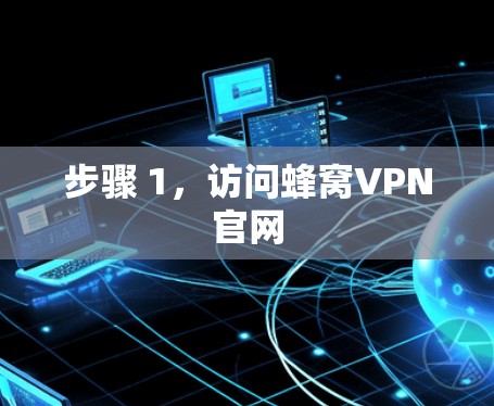 步骤 1，访问蜂窝VPN官网