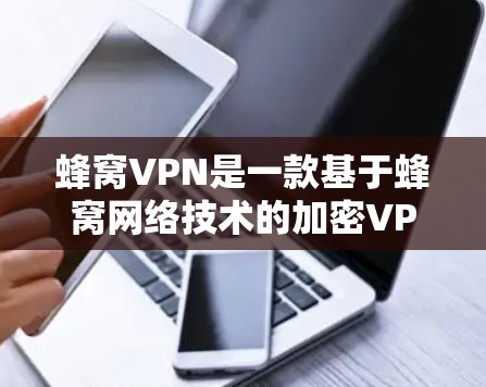 蜂窝VPN是一款基于蜂窝网络技术的加密VPN，旨在提供安全、高效的网络连接。以下是对蜂窝VPN稳定版的详细介绍