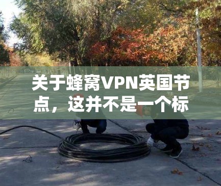 关于蜂窝VPN英国节点，这并不是一个标准的术语，可能指的是在英国运营的蜂窝VPN服务或相关节点。为了提供准确的信息，我需要了解具体的需求。以下是一些可能的解释和建议
