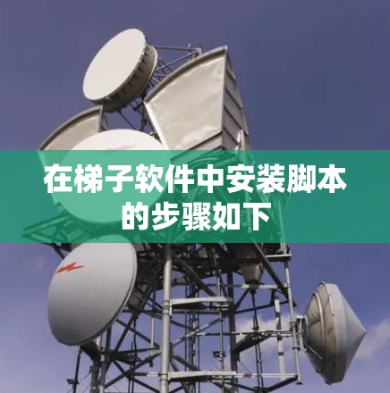 在梯子软件中安装脚本的步骤如下 在梯子软件中安装脚本的步骤如下