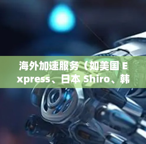 海外加速服务（如美国 Express、日本 Shiro、韩国 Cheexy 等）是一项专业的技术服务，旨在帮助用户将国内的互联网流量快速、便捷地传输到海外。以下是对海外加速工具体验的详细总结和分析