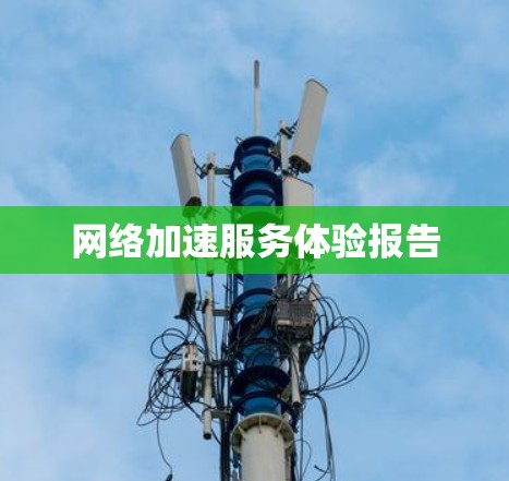 网络加速服务体验报告