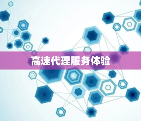 高速代理服务体验