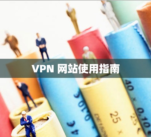 VPN 网站使用指南
