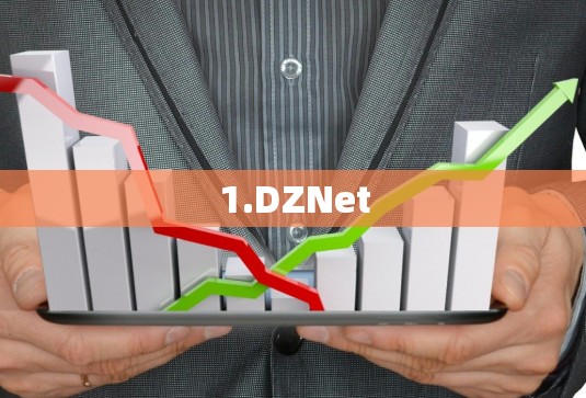 1.DZNet