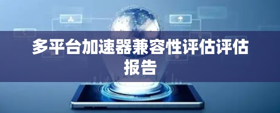 多平台加速器兼容性评估评估报告 多平台加速器兼容性评估评估报告