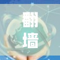 翻墙客户端作为保护用户数据安全的重要工具,其稳定运行和性能优化对于保障网络环境的安全性和用户体验至关重要。以下是一些优化技巧,帮助您提升翻墙客户端的稳定性和性能 翻墙客户端作为保护用户数据安全的重要工具,其稳定运行和性能优化对于保障网络环境的安全性和用户体验至关重要。以下是一些优化技巧,帮助您提升翻墙客户端的稳定性和性能
