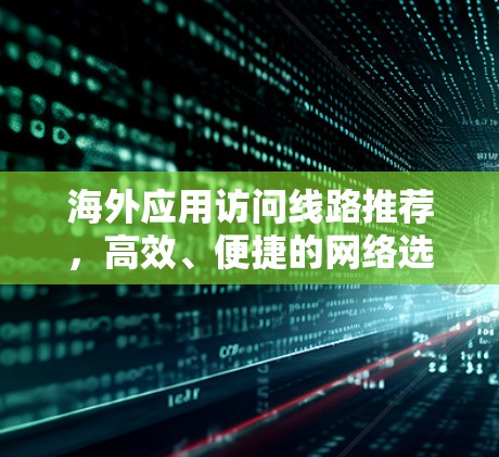 海外应用访问线路推荐，高效、便捷的网络选择