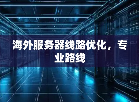 海外服务器线路优化,专业路线 海外服务器线路优化,专业路线