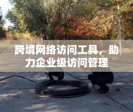 跨境网络访问工具,助力企业级访问管理 跨境网络访问工具,助力企业级访问管理