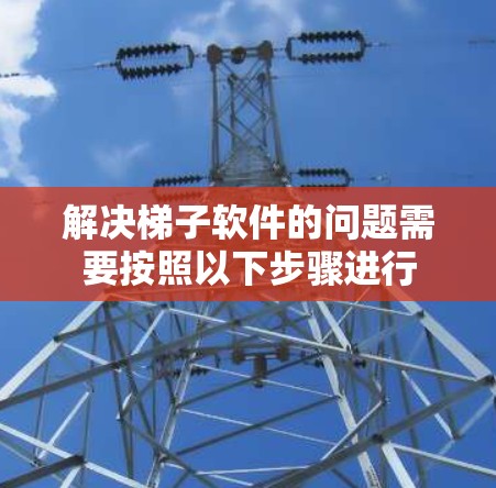 解决梯子软件的问题需要按照以下步骤进行