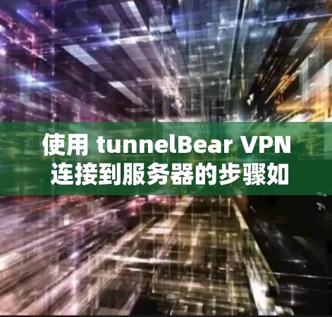 使用 tunnelBear VPN 连接到服务器的步骤如下