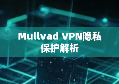 Mullvad VPN隐私保护解析