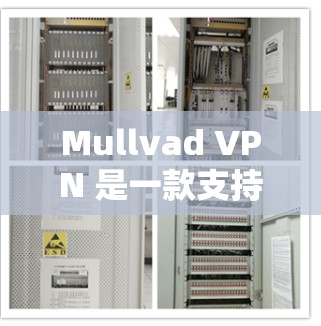 Mullvad VPN 是一款支持多语言和多设备的无服务器VPN服务，旨在提供安全、高效且易于使用的网络连接。以下是对 Mullvad VPN 的体验评测和匿名服务分析