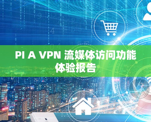 PI A VPN 流媒体访问功能体验报告