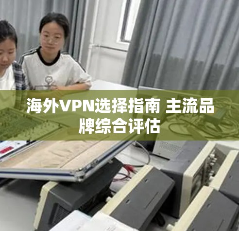 海外VPN选择指南 主流品牌综合评估