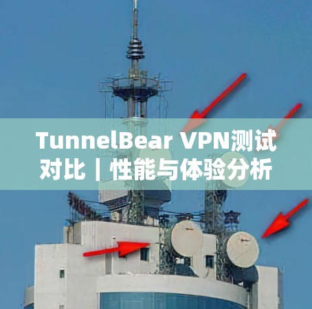 TunnelBear VPN测试对比｜性能与体验分析