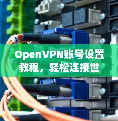 OpenVPN账号设置教程,轻松连接世界 OpenVPN账号设置教程,轻松连接世界
