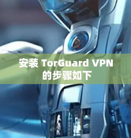 安装 TorGuard VPN 的步骤如下