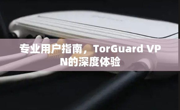 专业用户指南,TorGuard VPN的深度体验 专业用户指南,TorGuard VPN的深度体验