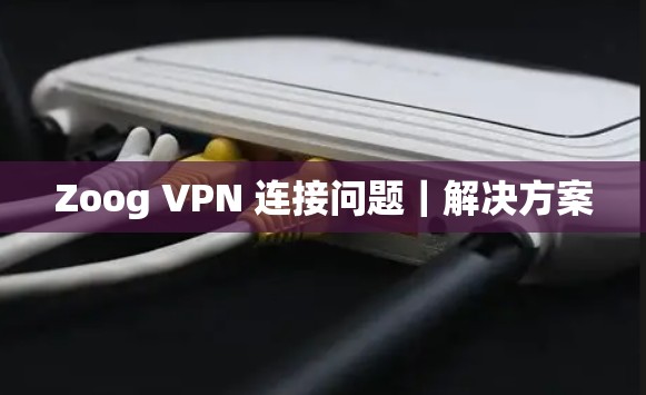 Zoog VPN 连接问题｜解决方案