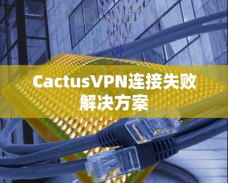 CactusVPN连接失败解决方案