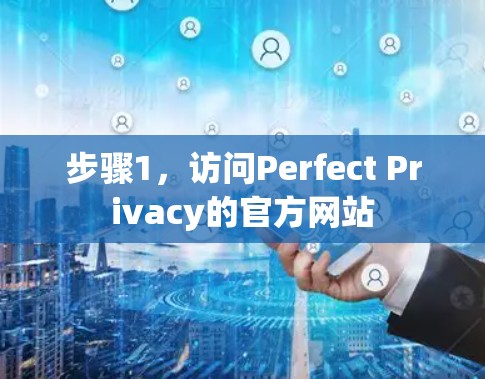 步骤1，访问Perfect Privacy的官方网站
