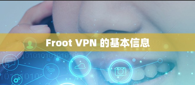 Froot VPN 的基本信息