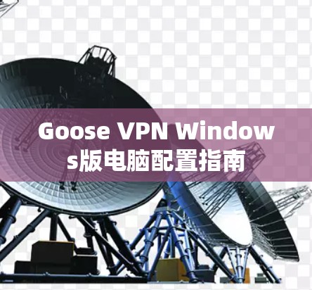 Goose VPN Windows版电脑配置指南