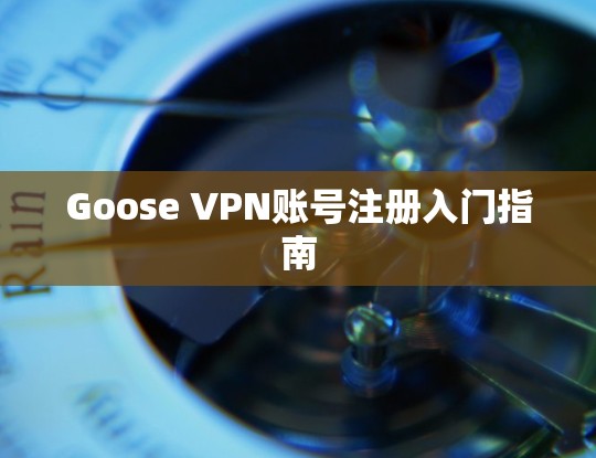 Goose VPN账号注册入门指南