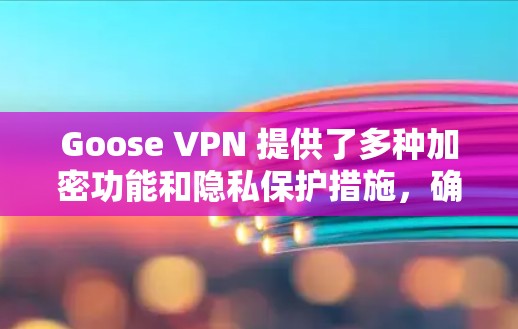 Goose VPN 提供了多种加密功能和隐私保护措施,确保用户数据的安全和隐私。以下是其主要的安全功能和隐私保护说明 Goose VPN 提供了多种加密功能和隐私保护措施,确保用户数据的安全和隐私。以下是其主要的安全功能和隐私保护说明