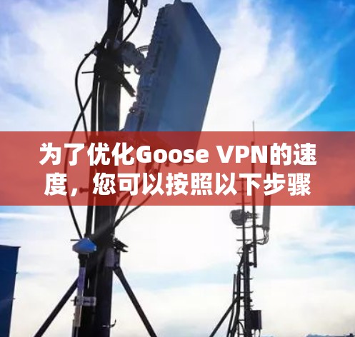 为了优化Goose VPN的速度，您可以按照以下步骤进行调整