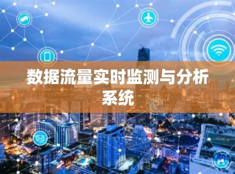 数据流量实时监测与分析系统