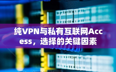 纯VPN与私有互联网Access，选择的关键因素
