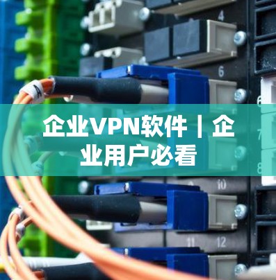 企业VPN软件｜企业用户必看
