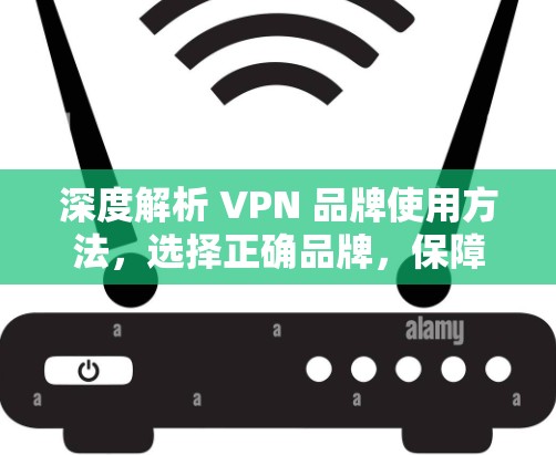 深度解析 VPN 品牌使用方法，选择正确品牌，保障安全可靠