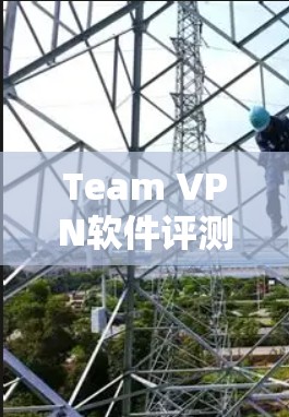 Team VPN软件评测｜团队网络管理工具