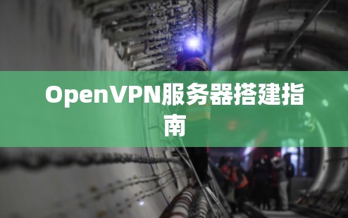 OpenVPN服务器搭建指南 OpenVPN服务器搭建指南