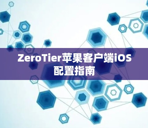 ZeroTier苹果客户端iOS配置指南 ZeroTier苹果客户端iOS配置指南