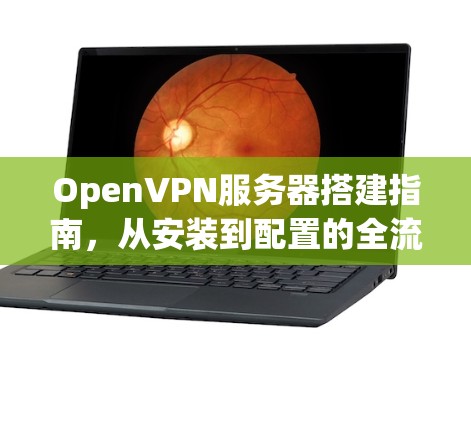 OpenVPN服务器搭建指南,从安装到配置的全流程 OpenVPN服务器搭建指南,从安装到配置的全流程