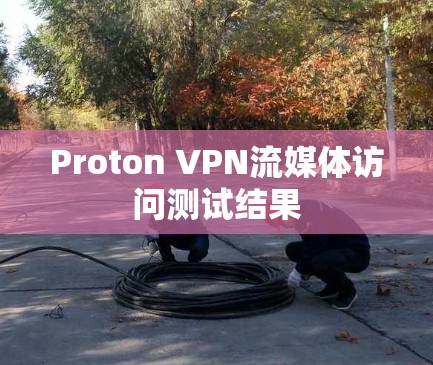 Proton VPN流媒体访问测试结果