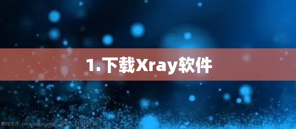 1.下载Xray软件