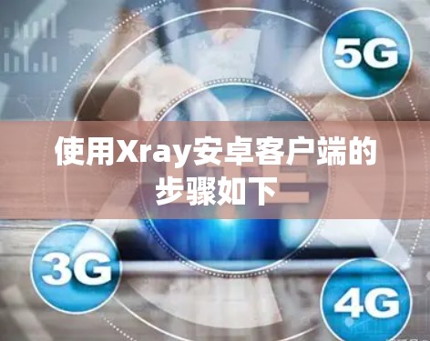 使用Xray安卓客户端的步骤如下