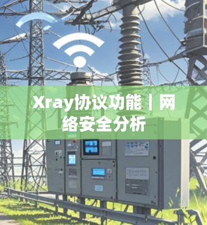 Xray协议功能｜网络安全分析